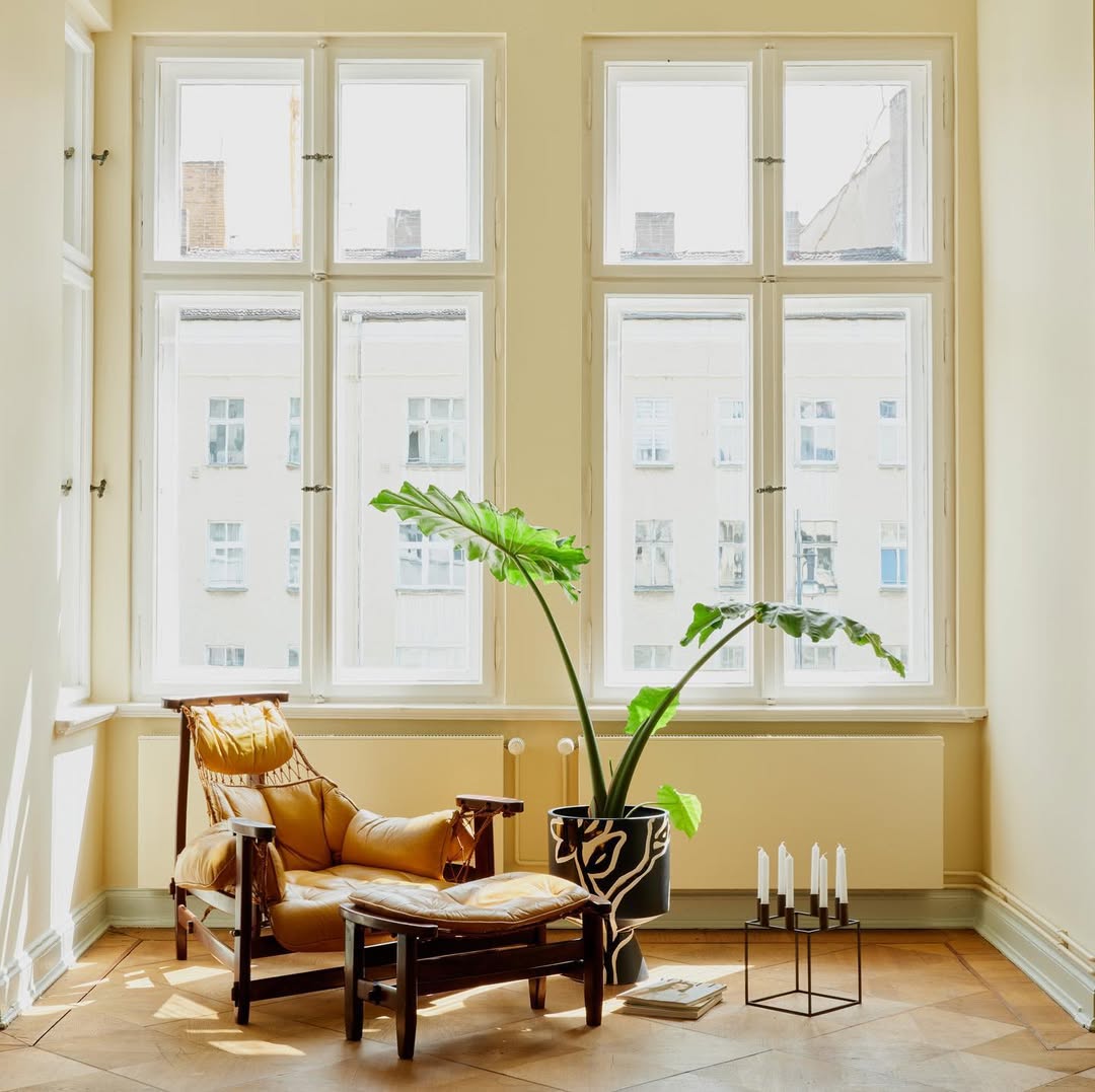 JANGADA ★ - Imagem 4