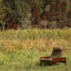 GIO ★ - Image 9
