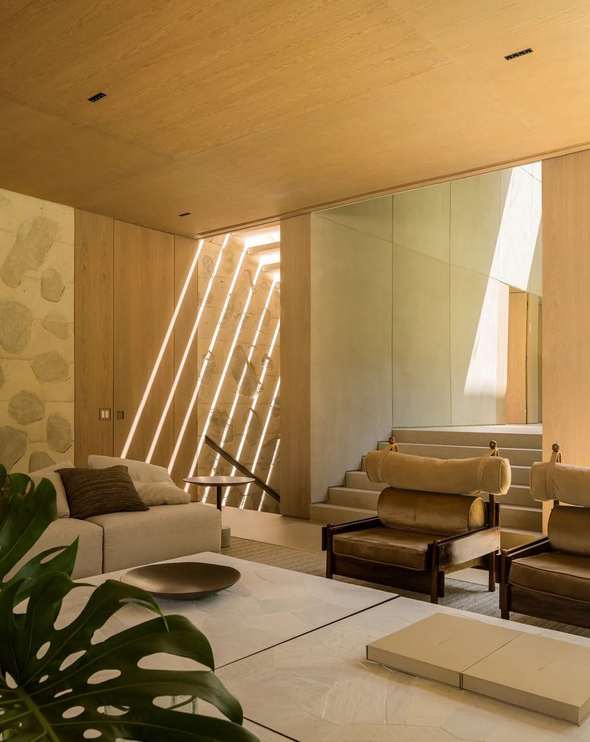 TONICO ★ - Imagem 7