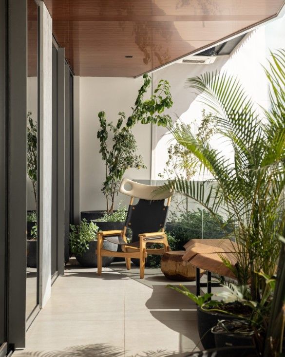 XIBÔ ★ - Imagem 9