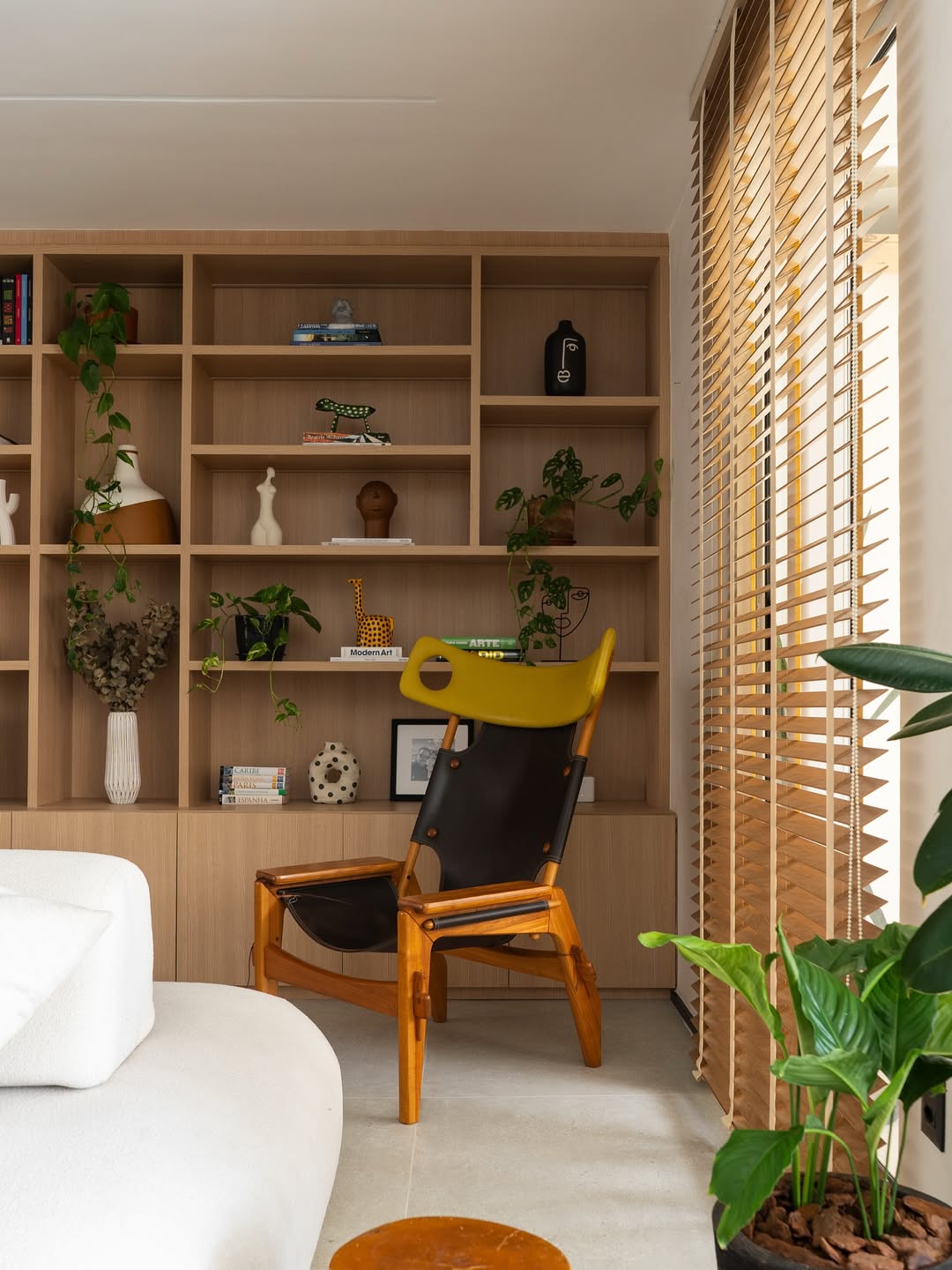 XIBÔ ★ - Imagem 6